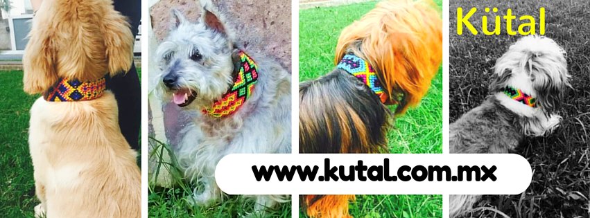 Portada kutal